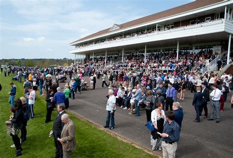 cork greyhound results|Cork Racecourse .